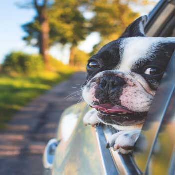 Οροι & Προϋποθέσεις